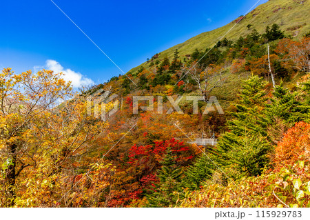 絶景の天空へと続く道　UFOライン 115929783