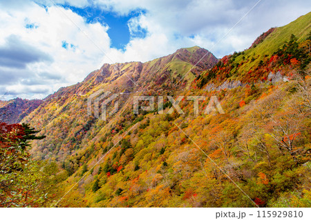 絶景の天空へと続く道　UFOライン 115929810