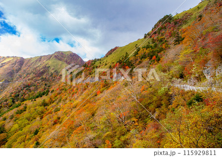 絶景の天空へと続く道　UFOライン 115929811
