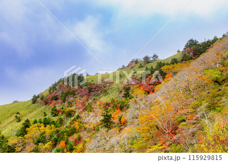 絶景の天空へと続く道　UFOライン 115929815