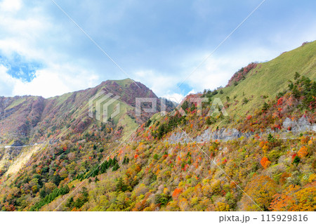 絶景の天空へと続く道 UFOライン 絶景の天空へと続く道 UFOライン 115929816