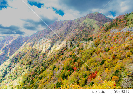 絶景の天空へと続く道　UFOライン 115929817