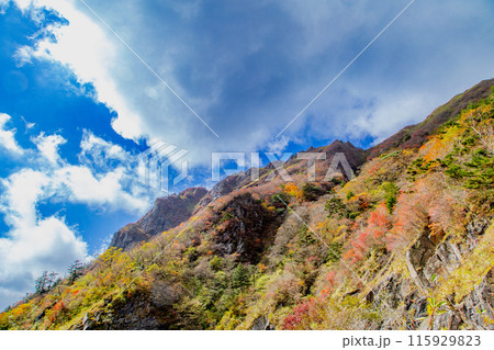 絶景の天空へと続く道　UFOライン 115929823