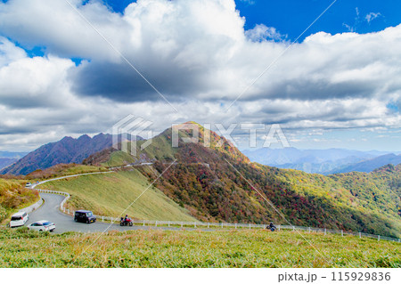 絶景の天空へと続く道 UFOライン 絶景の天空へと続く道 UFOライン 115929836