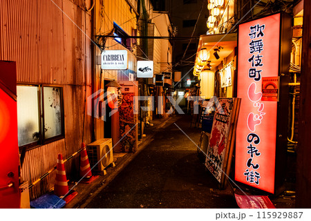 夜の街並み　～歌舞伎町・レッドのれん街・2～ 115929887