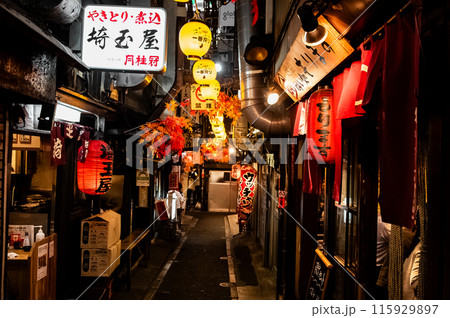 夜の街並み ~新宿・思い出横丁・2~ 夜の街並み ~新宿・思い出横丁・2~ 115929897