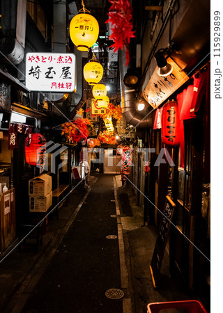 夜の街並み　～新宿・思い出横丁・3～ 115929899