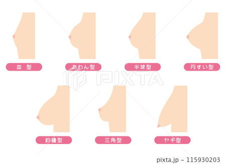 乳房の形 種類 乳房の形 種類 115930203