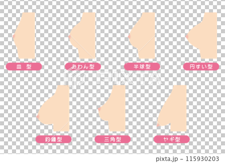 Breast Shape Types 115930203