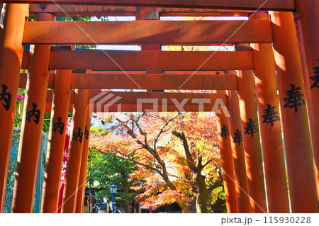 紅葉の花園稲荷神社（東京都台東区上野公園） 115930228
