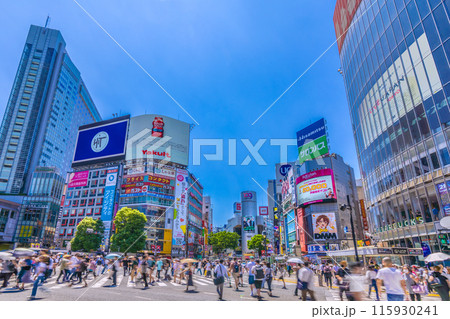 日本の東京都市景観 6月。インバウンド復活…賑わう渋谷スクランブル交差点などを望む=19日 日本の東京都市景観 6月。インバウンド復活…賑わう渋谷スクランブル交差点などを望む=19日 115930241