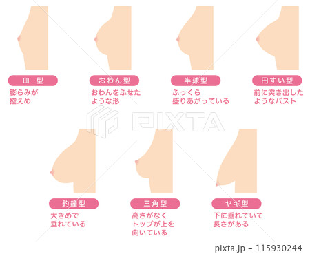 乳房の形　種類 115930244