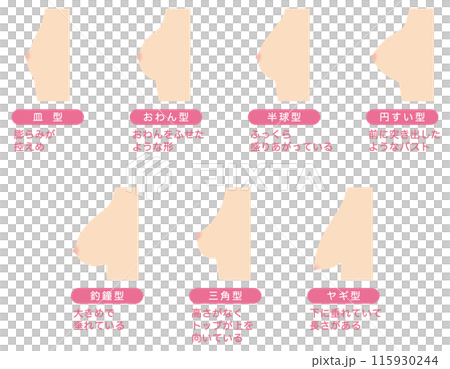 Breast Shape Types 115930244
