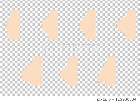 Breast Shape Types 115930334