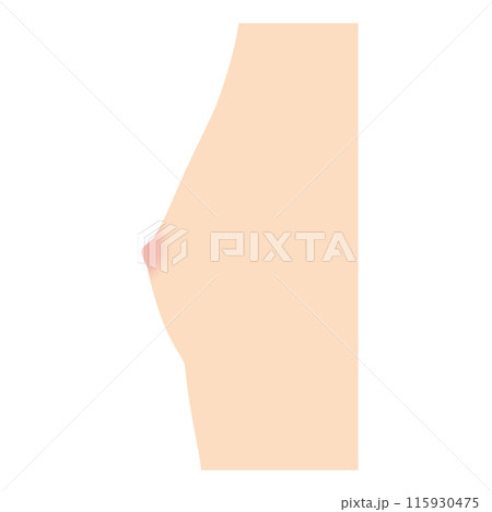 乳房の形　種類　皿型 115930475