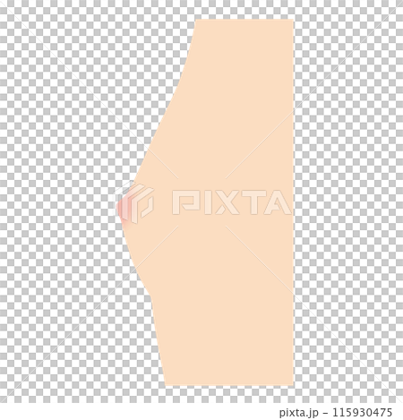 乳房の形　種類　皿型 115930475