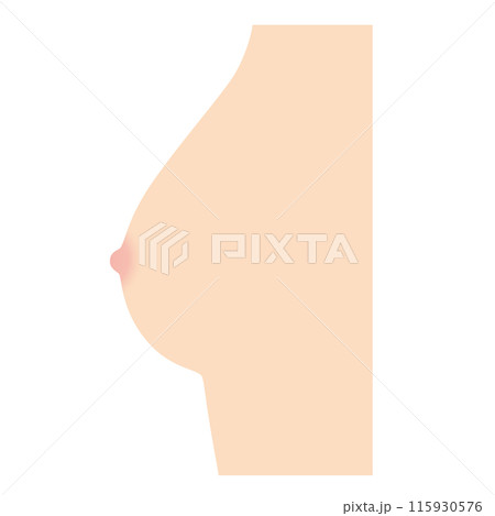 乳房の形　種類　半球型 115930576