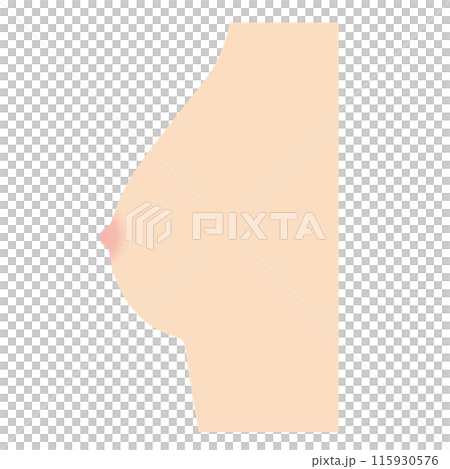 乳房の形　種類　半球型 115930576