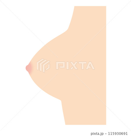 乳房の形　種類　円錐型 115930691