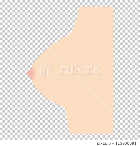乳房の形　種類　円錐型 115930691