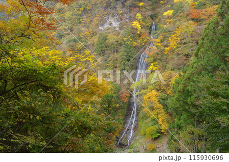 秋の奥秩父・丸神の滝 秋の奥秩父・丸神の滝 115930696