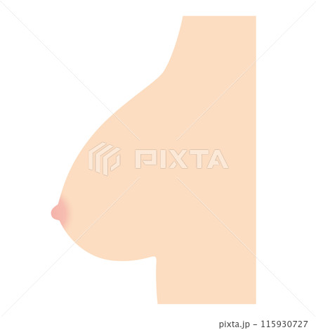 乳房の形　種類　釣鐘型 115930727