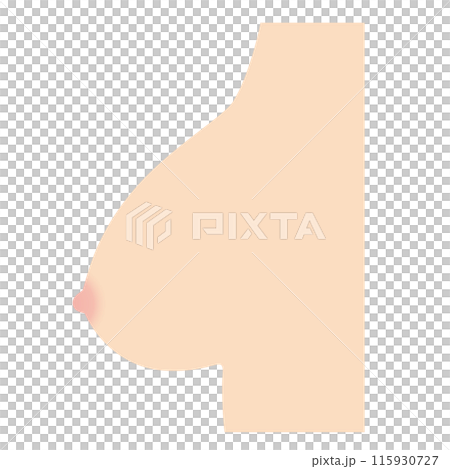 乳房の形　種類　釣鐘型 115930727