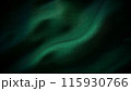Green Fabric Texture Background 115930766