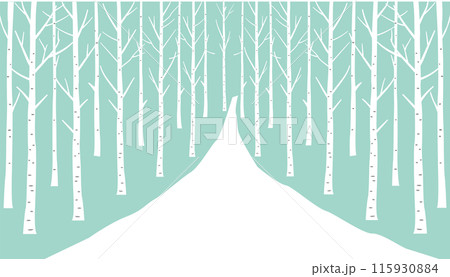 白樺の木々の背景 白樺の木々の背景 115930884