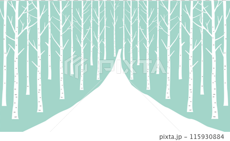 白樺の木々の背景 白樺の木々の背景 115930884