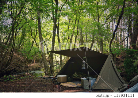 自然に溶け込むキャンプ風景 自然に溶け込むキャンプ風景 115931111