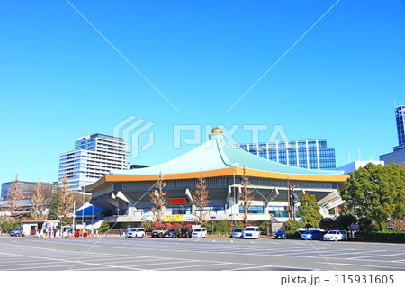 東京都千代田区、日本武道館の風景 115931605