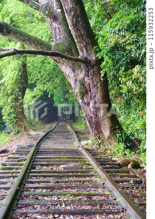 旧国鉄倉吉線廃線跡（鳥取県倉吉市） 115932253