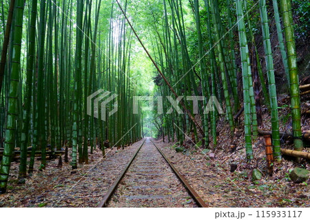 旧国鉄倉吉線廃線跡／竹林（鳥取県倉吉市） 115933117