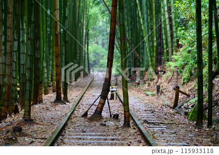 旧国鉄倉吉線廃線跡／竹林（鳥取県倉吉市） 115933118