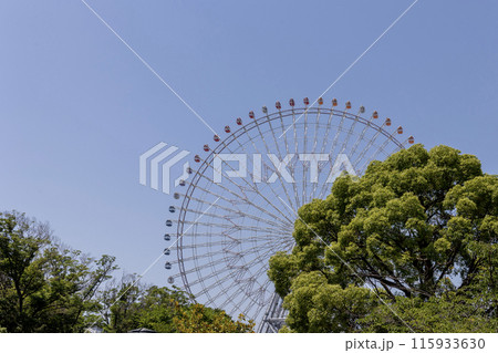 大阪／青空と天保山大観覧車（2024年6月14日撮影） 115933630