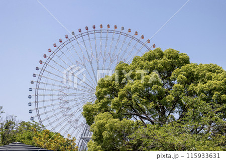 大阪/青空と天保山大観覧車(2024年6月14日撮影) 大阪/青空と天保山大観覧車(2024年6月14日撮影) 115933631