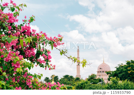 Masjid Putra Mosque with pink flower in Putrajaya, Malaysia 115933790
