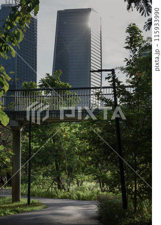 The large urban park with trails for running and cycling serene atmosphere with Benjakitti park skywalk. The large urban park with trails for running and cycling serene atmosphere with Benjakitti park skywalk. 115933990