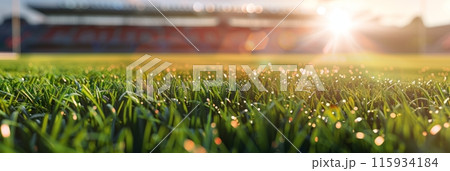 Viewed from the grass level, the football field's lush green turf and precise white lines come to life. The towering goalposts and distant bleachers frame the scene, banner 115934184