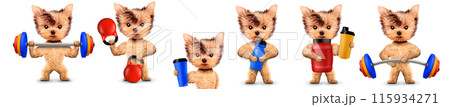 Funny dog holding sport equipment like dumbbell, kettlebell 115934271