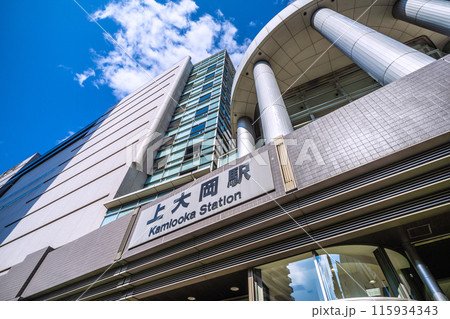 日本の横浜都市景観 6月。上大岡駅などを望む=3日 日本の横浜都市景観 6月。上大岡駅などを望む=3日 115934343