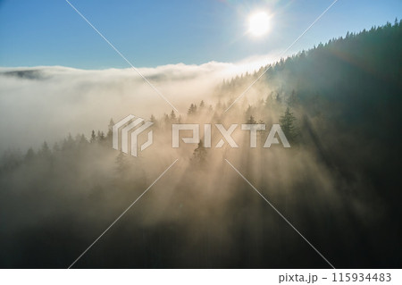 Aerial view of amazing scenery with foggy dark mountain forest pine trees at autumn sunrise. Beautiful wild woodland with shining rays of light at dawn Aerial view of amazing scenery with foggy dark mountain forest pine trees at autumn sunrise. Beautiful wild woodland with shining rays of light at dawn 115934483