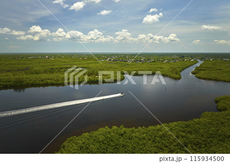 View from above of a motorboat floating on Florida everglades with green vegetation between ocean water inlets. Natural habitat of many tropical species in wetlands View from above of a motorboat floating on Florida everglades with green vegetation between ocean water inlets. Natural habitat of many tropical species in wetlands 115934500