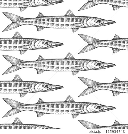Vintage Style Barracuda Seamless Pattern. Vector Hand Drawn Fish Background. High Quality Old Fashion Illustration 115934748