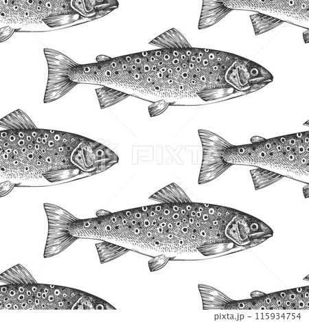 Vintage Style Trout Seamless Pattern. Vector Hand Drawn Fish Background. High Quality Old Fashion Illustration 115934754