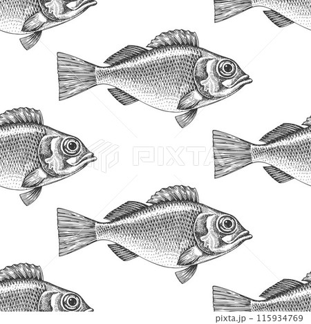 Vintage Style Perch Seamless Pattern. Vector Hand Drawn Fish Background. High Quality Old Fashion Illustration 115934769