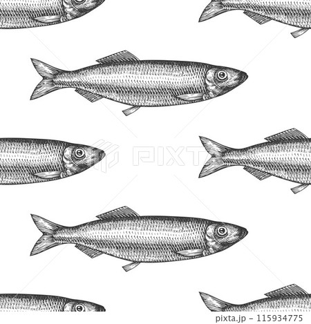 Vintage Style Herring Seamless Pattern. Vector Hand Drawn Fish Background. High Quality Old Fashion Illustration Vintage Style Herring Seamless Pattern. Vector Hand Drawn Fish Background. High Quality Old Fashion Illustration 115934775