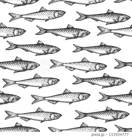 Vintage Style Anchovy Seamless Pattern. Vector Hand Drawn Fish Background. High Quality Old Fashion Illustration Vintage Style Anchovy Seamless Pattern. Vector Hand Drawn Fish Background. High Quality Old Fashion Illustration 115934777