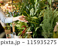 Beautiful shiny green leaves of the gardening store 115935275